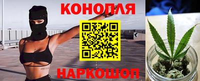 спиды Моздок