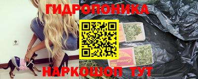 прущие крисы Нарткала