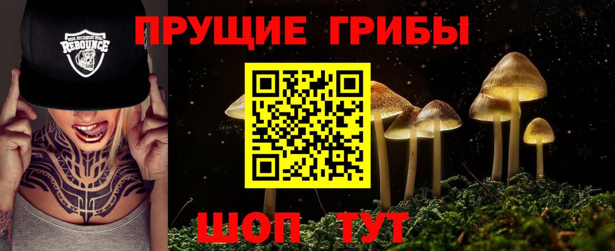 Рузаевка  Псилоцибиновые грибы MAGIC MUSHROOMS  Вход с VPN  закладка  Псилоцибиновые грибы Psilocybine cubensis 