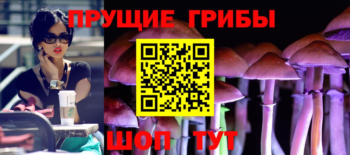 Псилоцибиновые грибы Magic Shrooms Рузаевка