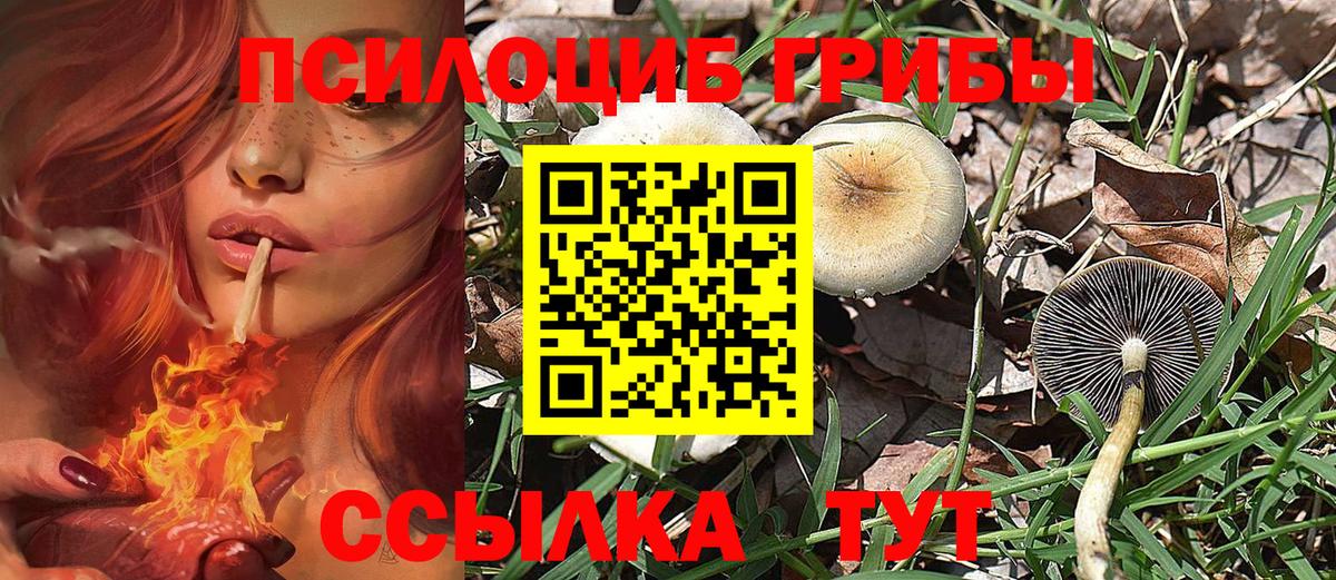 Рузаевка  А ПВП СОЛЬ кристаллы  Вход с VPN  Кокаин  ГАШИШ  Каннабис  Cocaine  Меф кристаллы 